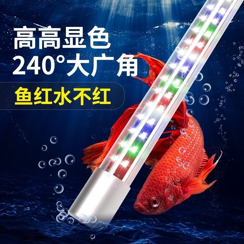 龍魚用三基色燈管可以嗎