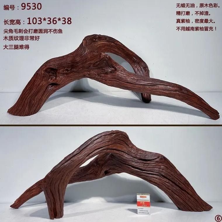 龍魚缸里放沉木好嗎圖片大全