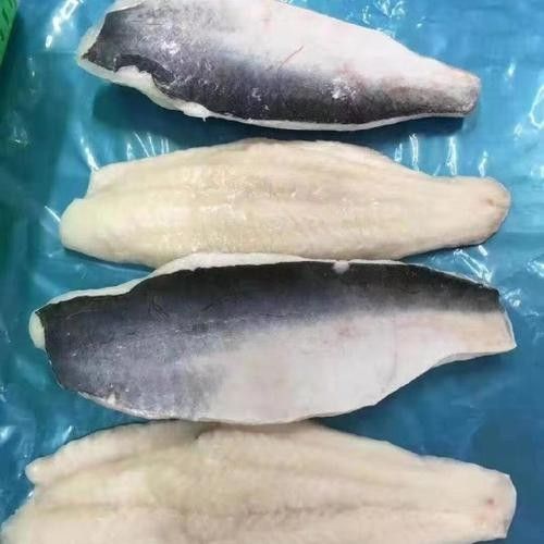 黃龍魚長什么樣子圖片視頻