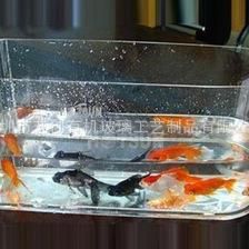 金魚缸價格及圖片