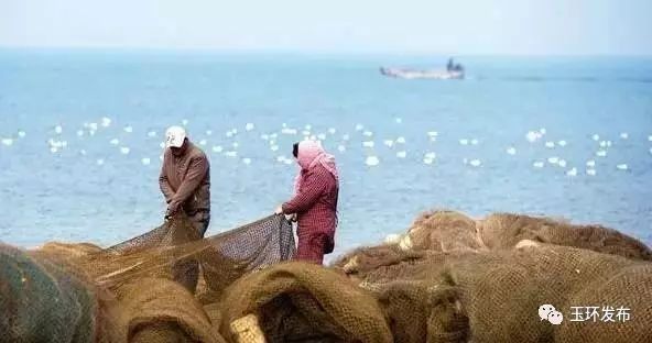龍頭魚禁漁期具體是哪些時間？