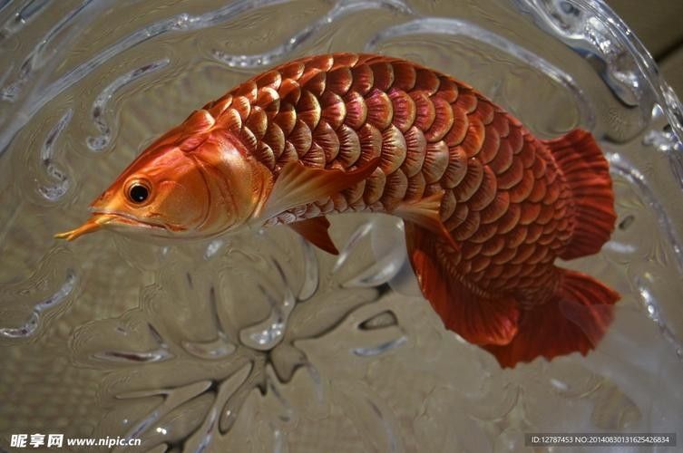 龍魚雕塑圖片欣賞大全