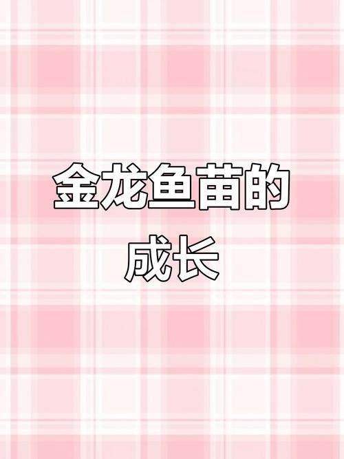 龍魚魚苗圖片大全欣賞