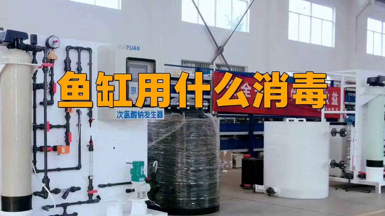 龍魚缸裝飾品如何消毒 龍魚缸裝飾品如何消毒 龍魚百科 第1張
