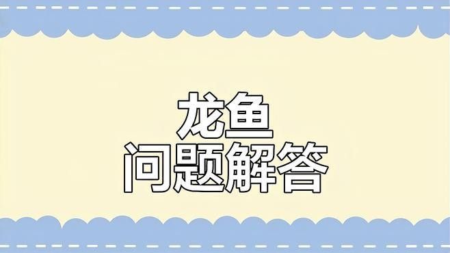 龍魚鰓蓋穿孔后如何保持水質穩定？