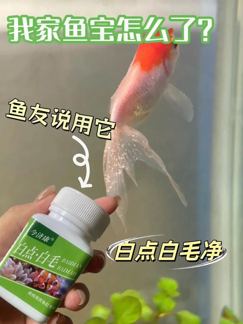 銀龍魚身上起白點是怎么回事兒啊圖片
