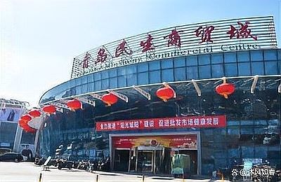 青島龍魚在哪賣比較好