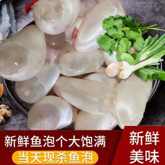 真正的魚寶圖片