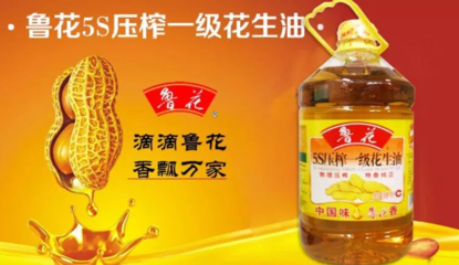 金龍魚品牌是哪個國家的