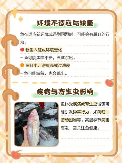 龍魚突然跳缸什么預兆呢圖片