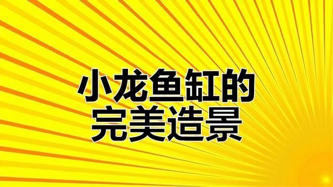 龍魚魚缸可以造景嗎視頻