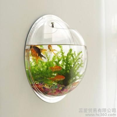 過背金龍魚怎么挑選（如何挑選過背金龍魚）
