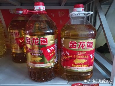 金龍魚哪款油最好