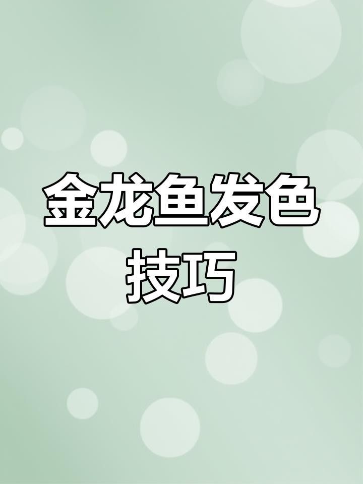 高背金龍需要多大的魚缸？