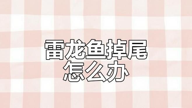 雷龍魚掉尾