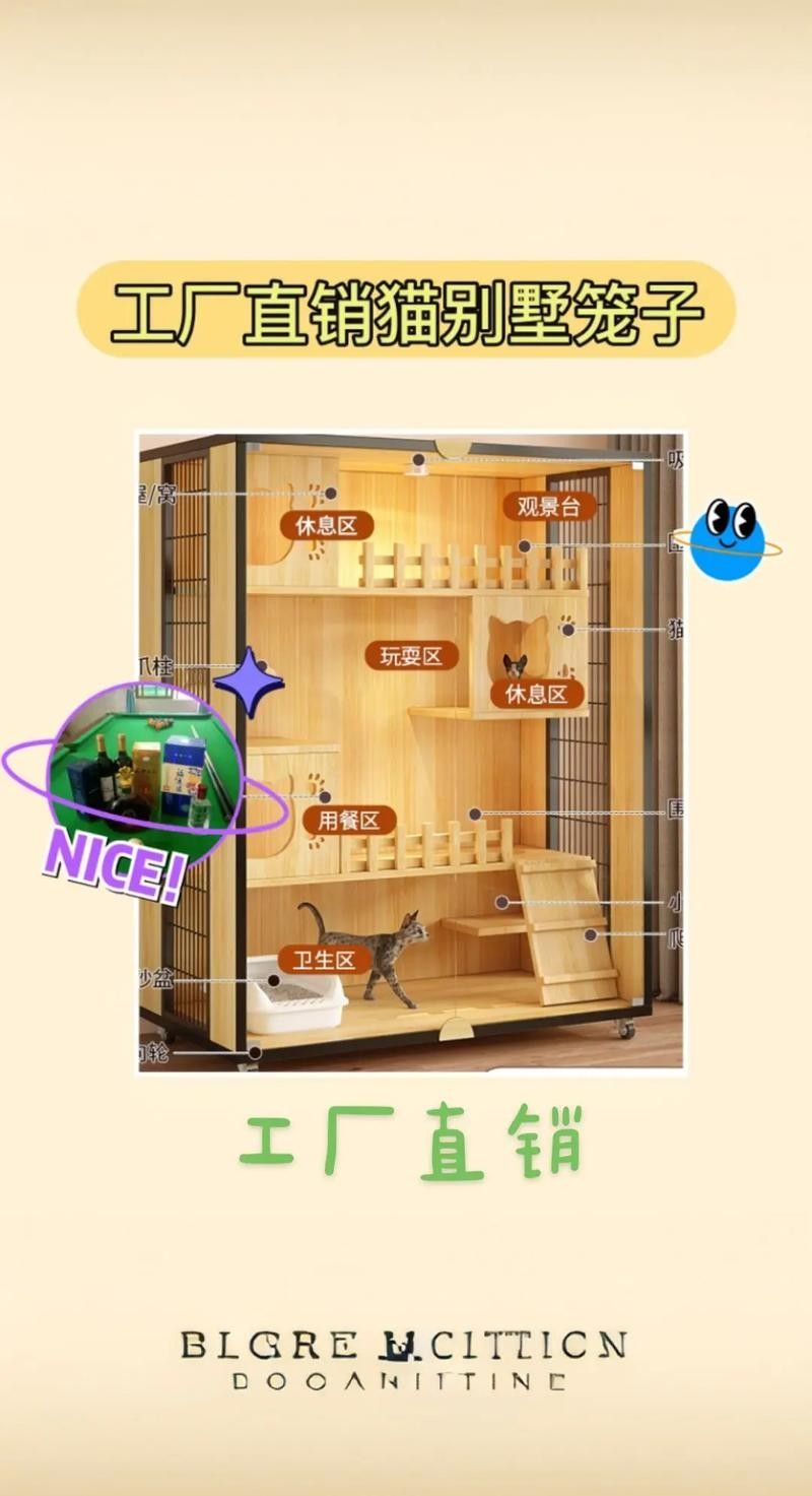 龍貓和貓哪個更適合家庭環境？