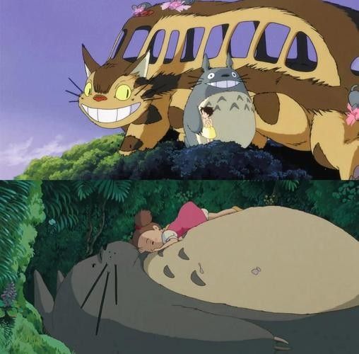 龍貓和貓哪個更適合家庭環境？