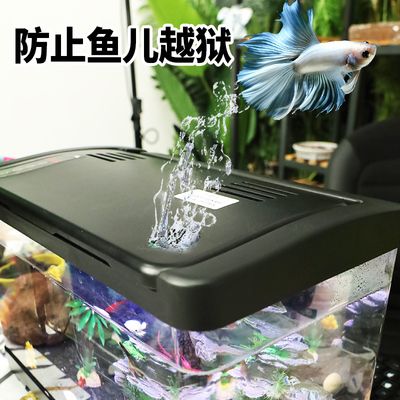 智能魚缸什么牌子的好