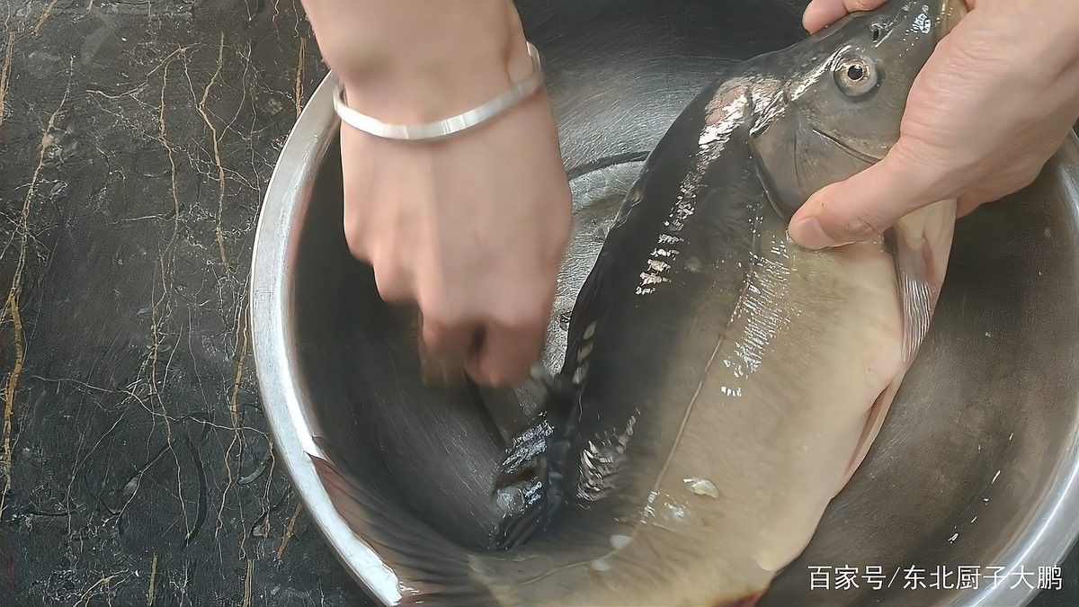 雷龍魚烹飪時需要去鱗嗎？