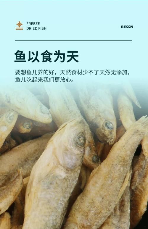 銀龍魚吃什么好