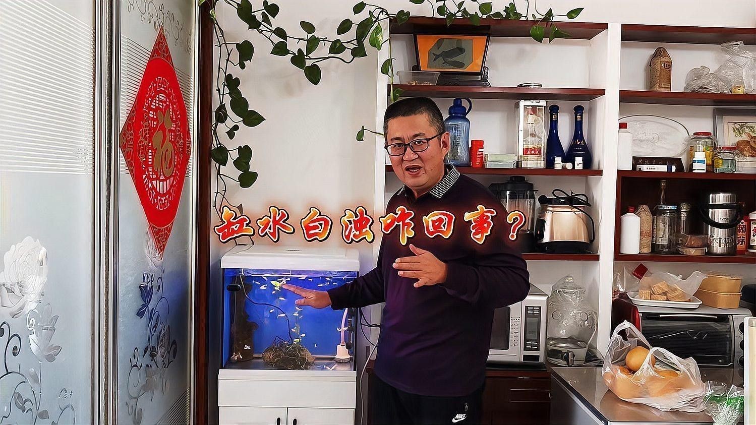 龍魚換水時可以洗棉嗎？