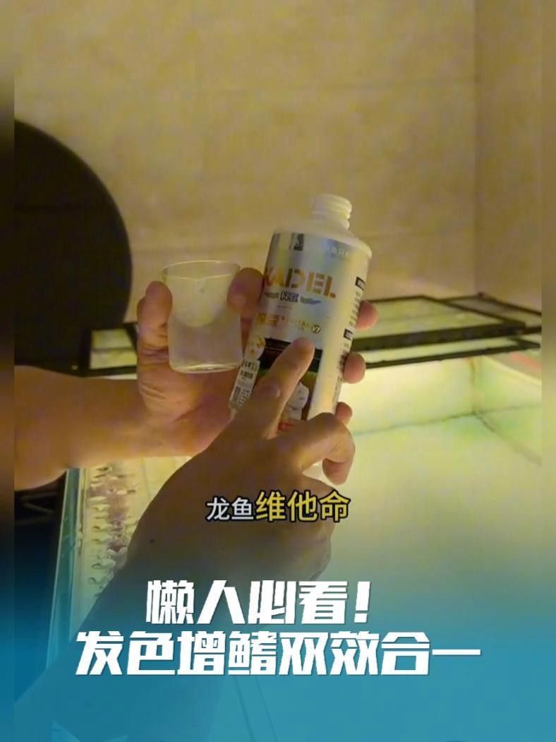 龍魚后三鰭增大需要添加什么營養？