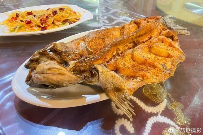 阿克蘇火龍魚