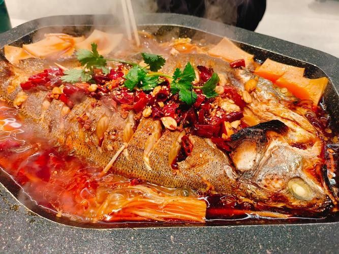 阿克蘇火龍魚