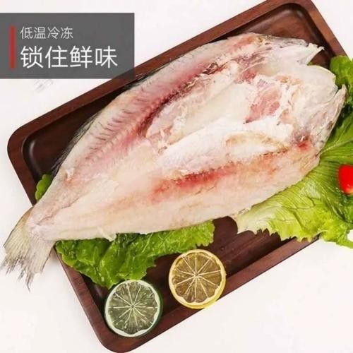 雪龍魚是龍利魚嗎圖片