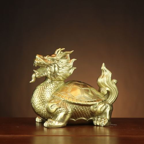 龍龜圖片在哪里可以找到？