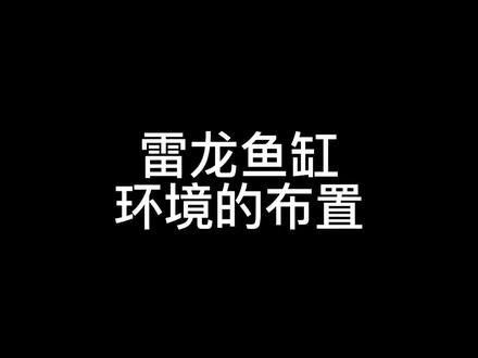 雷龍魚挖沙