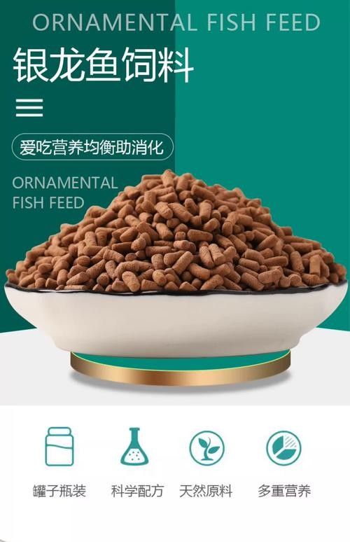 銀龍魚(yú)最?lèi)?ài)吃什么食物圖片