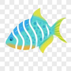 龍躉魚圖片