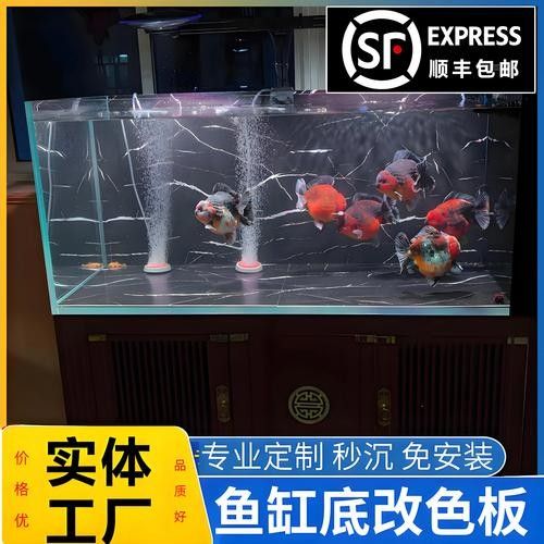 龍魚沉在水底怎么回事兒圖片