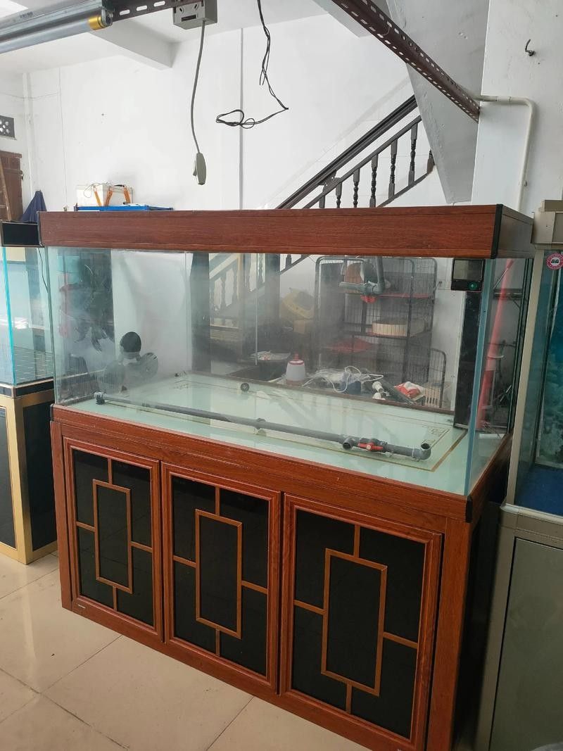 龍魚沉在水底怎么回事兒圖片