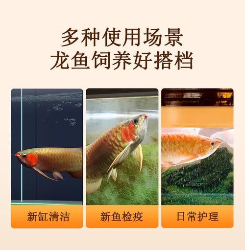 龍魚沉在水底怎么回事兒圖片
