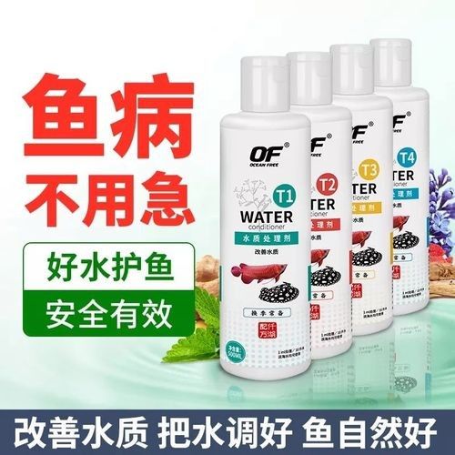 龍魚沉在水底怎么回事兒圖片
