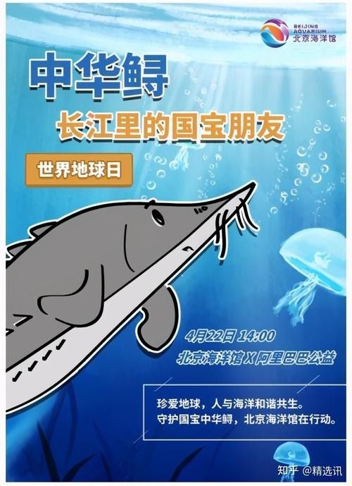 鱘龍魚圖片中華鱘