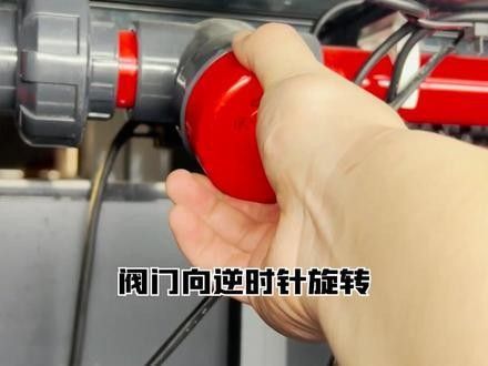 魚缸水位多高適合養龍魚