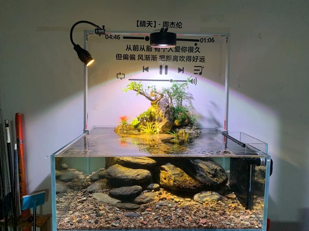 龍魚(yú)缸安裝視頻講解圖