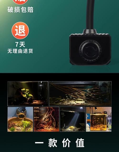龍魚(yú)缸安裝視頻講解圖