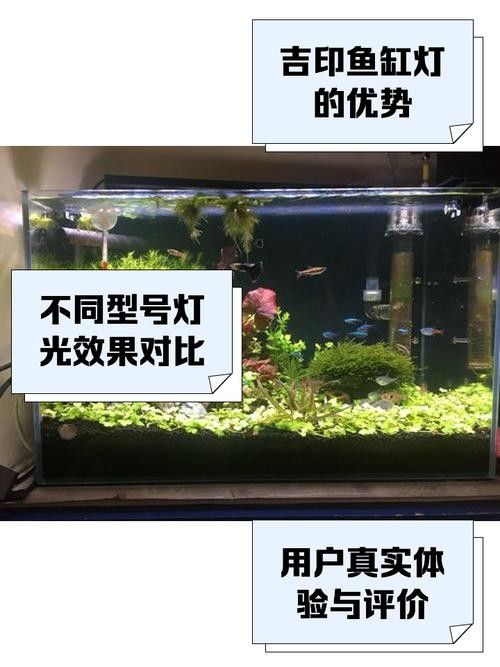 龍魚(yú)缸安裝視頻講解圖