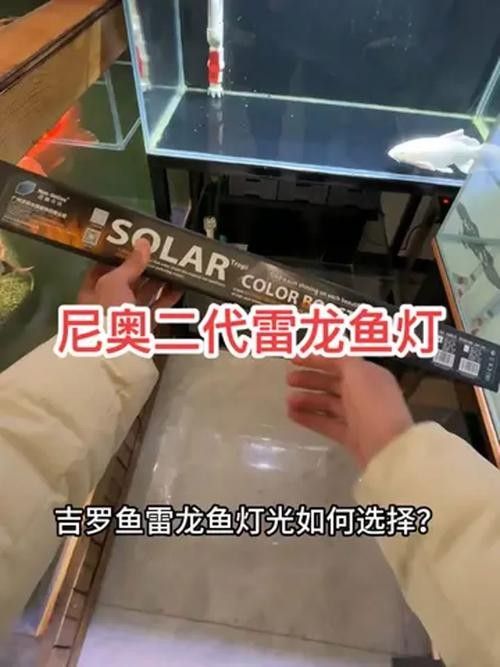 龍魚(yú)缸安裝視頻講解圖