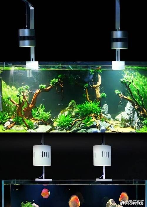龍魚(yú)缸安裝視頻講解圖