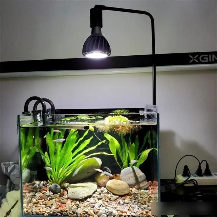 龍魚(yú)缸安裝視頻講解圖