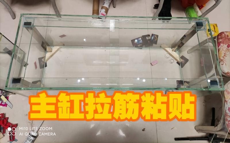 龍魚(yú)缸安裝視頻講解圖
