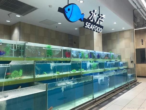 龍魚(yú)缸安裝視頻講解圖