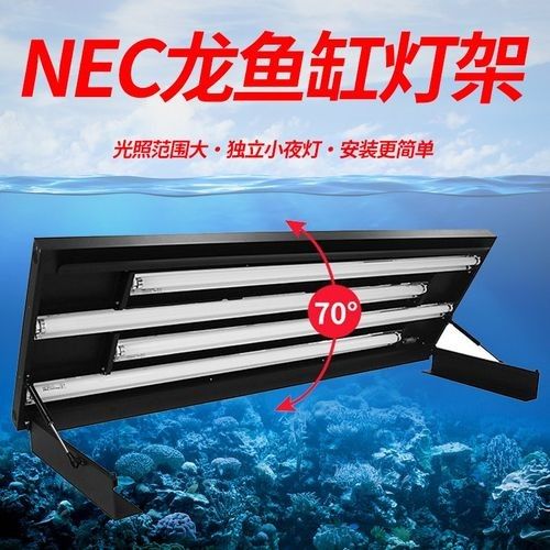 龍魚(yú)缸安裝視頻講解圖