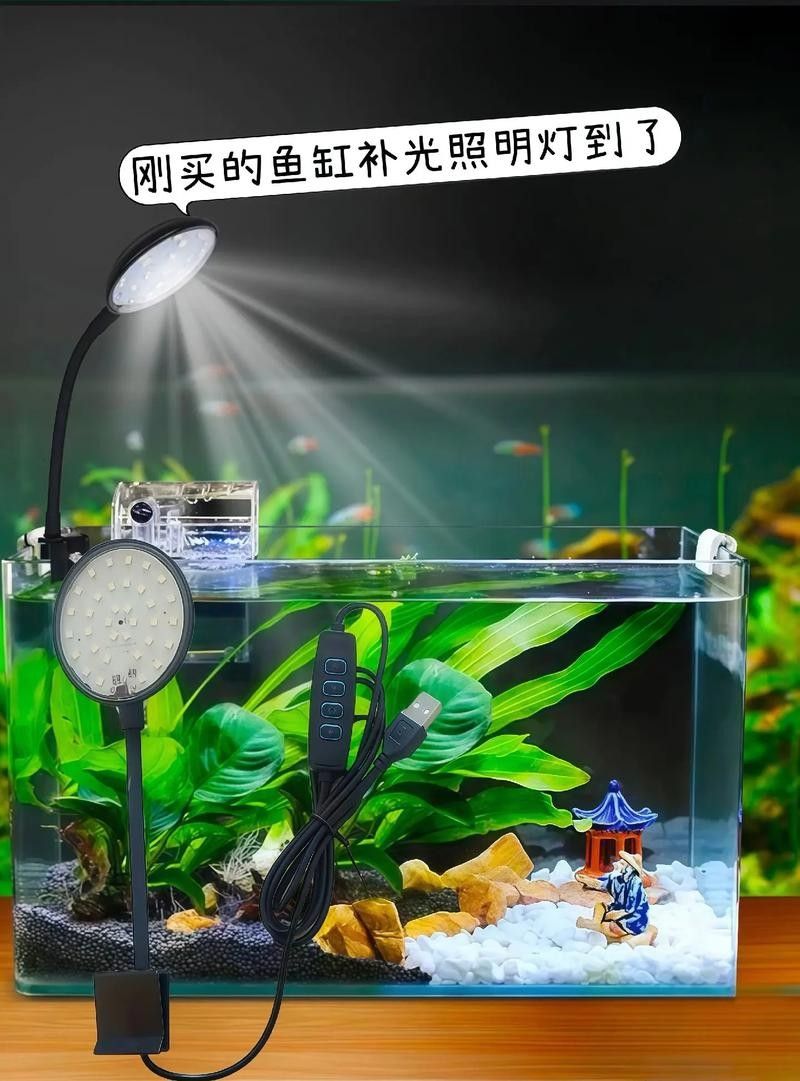 龍魚(yú)缸安裝視頻講解圖