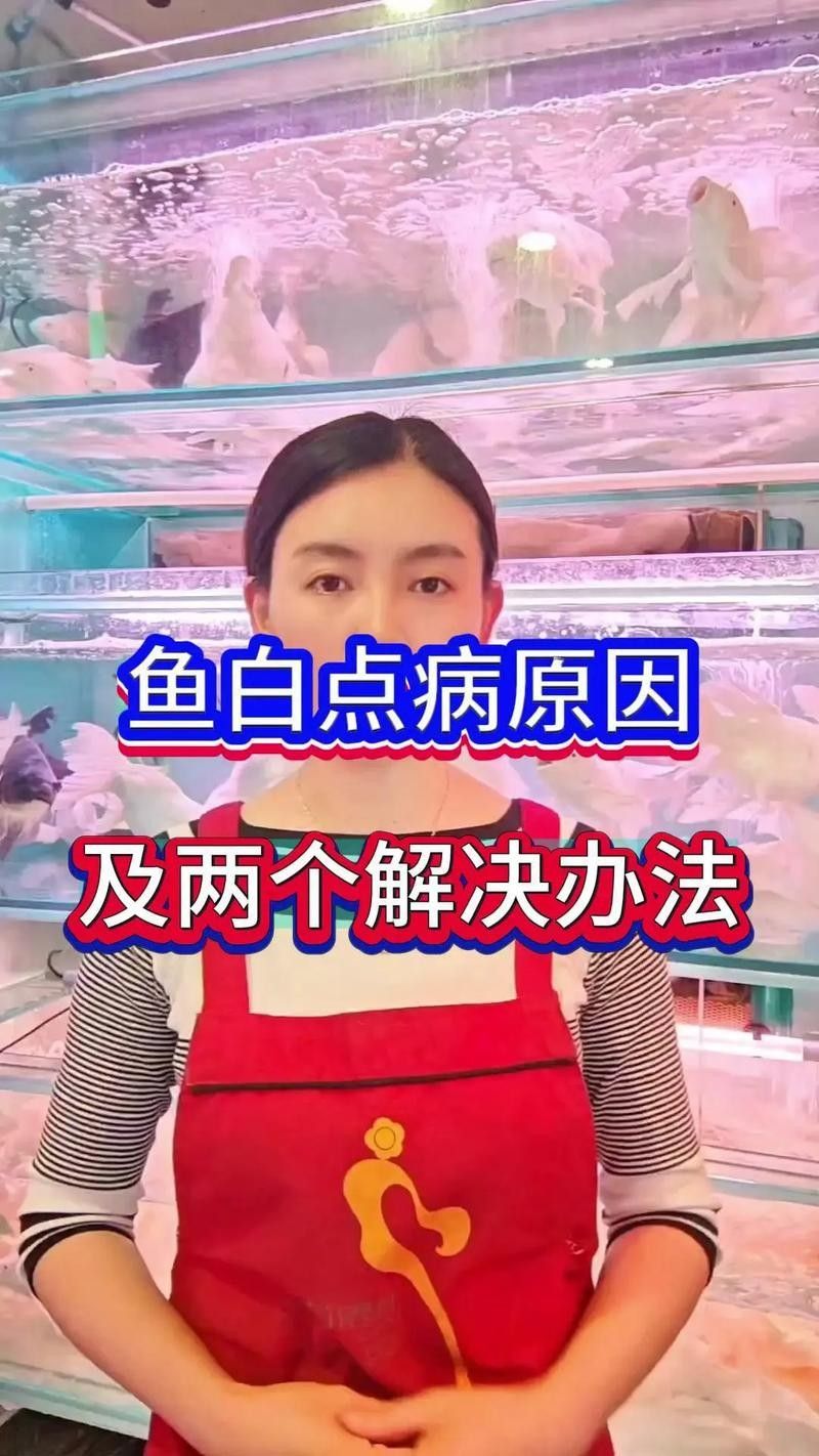 龍魚身上有白色絮狀物怎么辦圖片